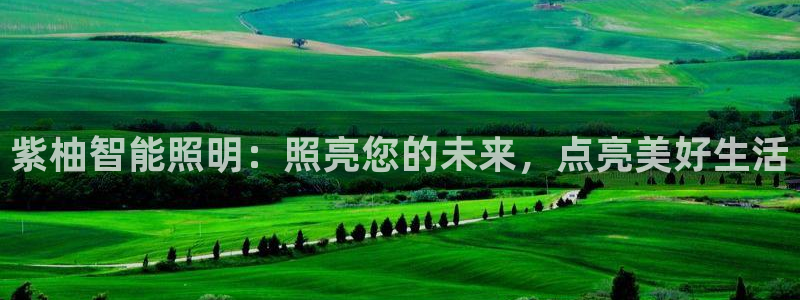 云顶国际休闲会所