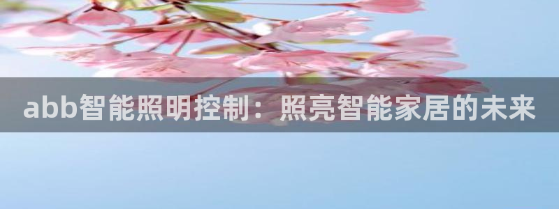 云顶国际物流有限公司