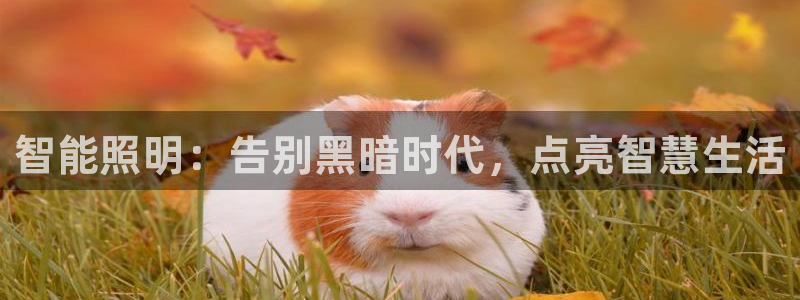 云顶国际服自定义