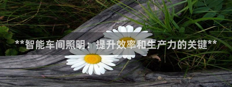 云顶国际公馆产权年限