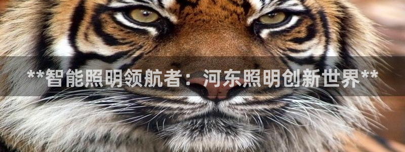 云顶国际商务会所地址