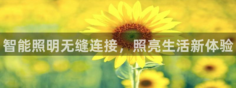 云顶国际集团发展有限公司国内项目总经理