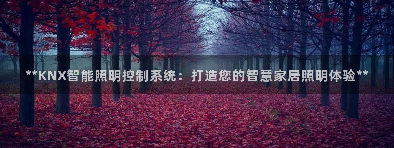 云顶国际游戏官方网站