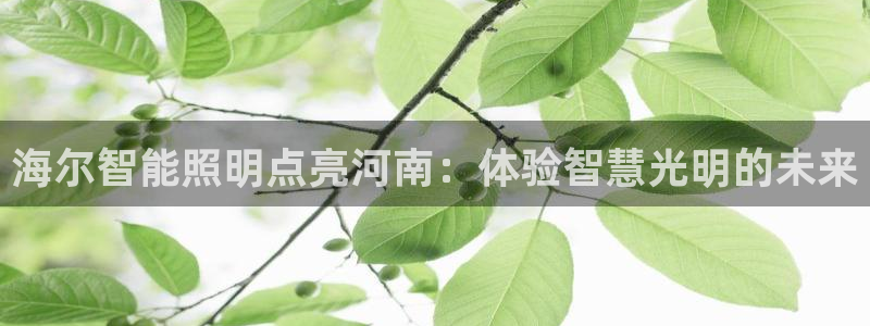 云顶国际电话号码