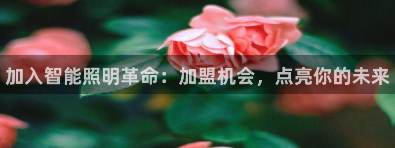 云顶集团GM