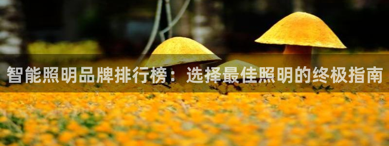 云顶集团在中国有投资吗?