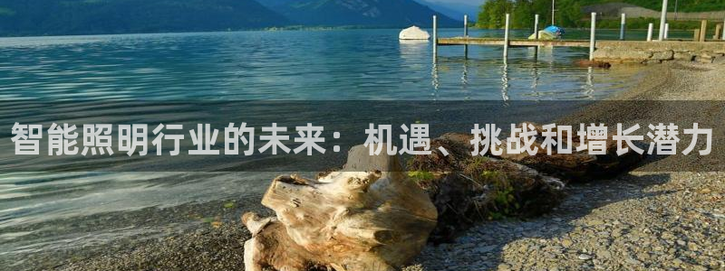 云顶国际测试服