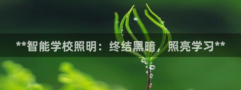 云顶国际装饰设计怎么样