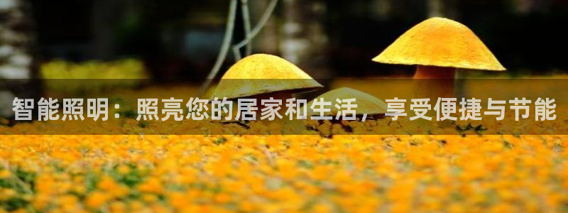 云顶集团app免费下载安装