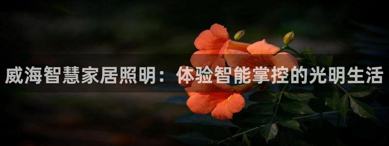 云顶网站网址