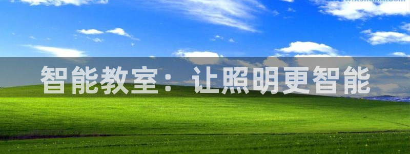 云顶国际服账号