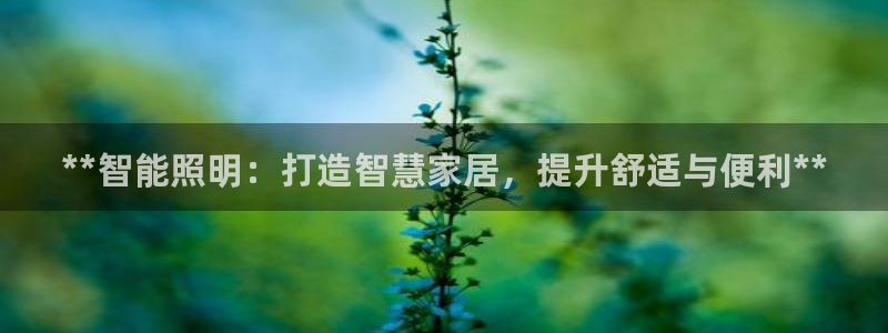 云顶国际的网址是多少位