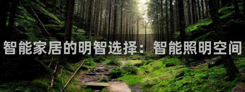 云顶国际体育官方网站