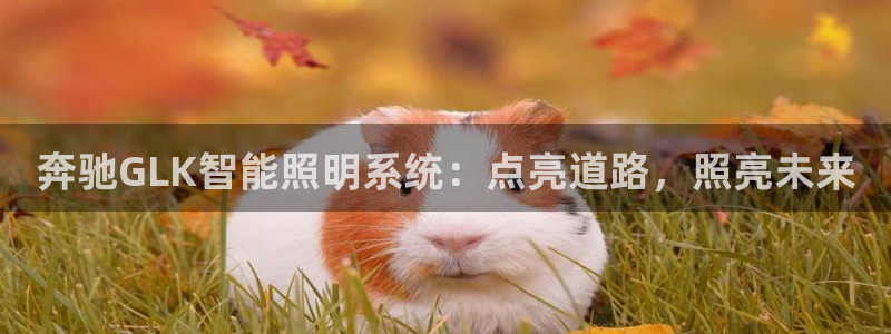 云顶国际体育官方网站下载