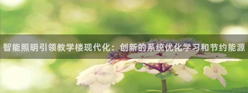 云顶国际提现不到账怎么办