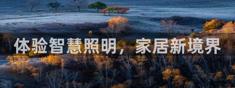 云顶国际提现失败怎么办