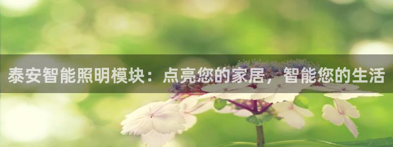 云顶12301网站
