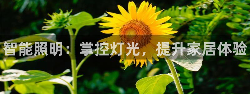 云顶国际网站怎么进不去了
