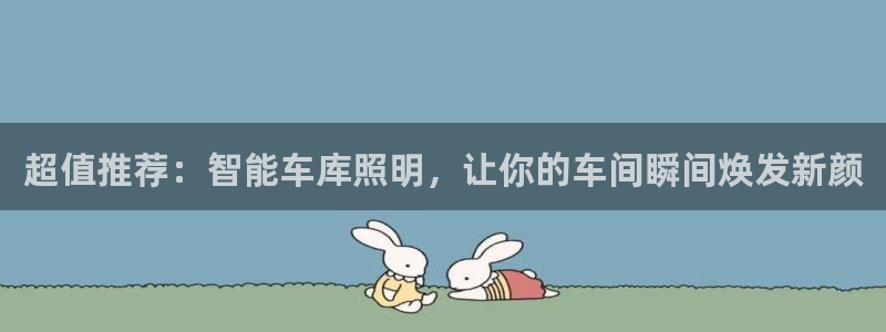 云顶国际服s11