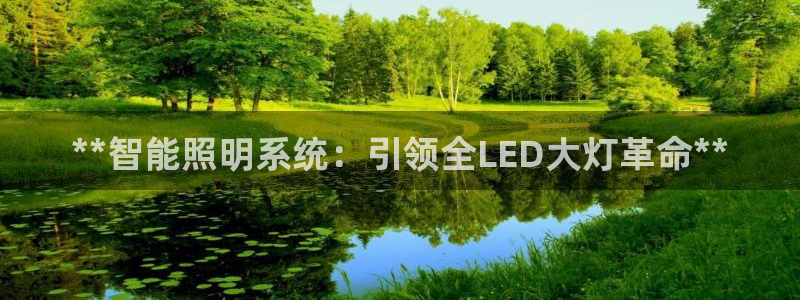 云顶手游国际服账号