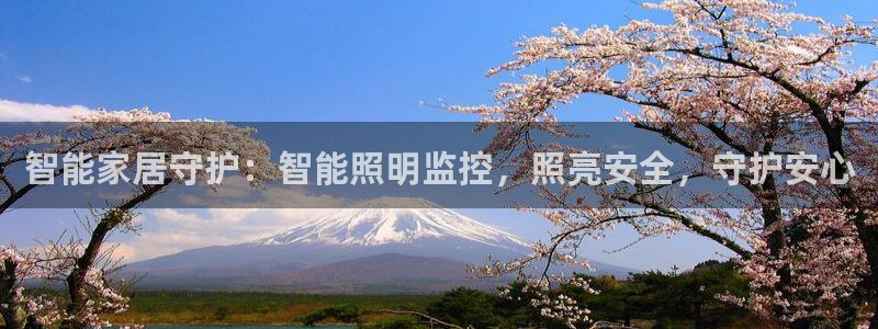 云顶集团GM