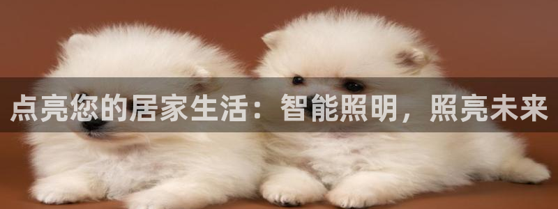云顶国际服什么时候更新赛季