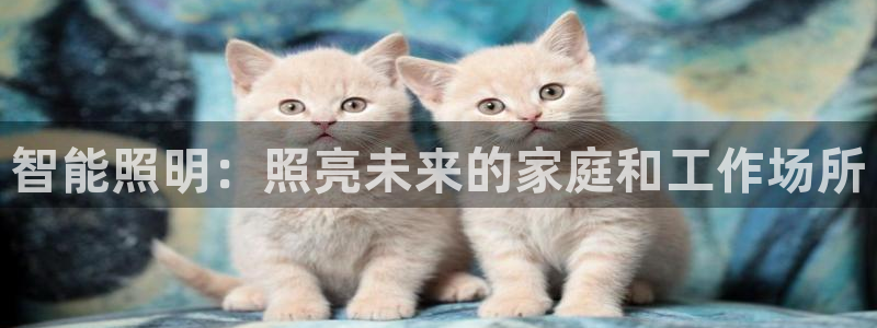 云顶国际服账号交易