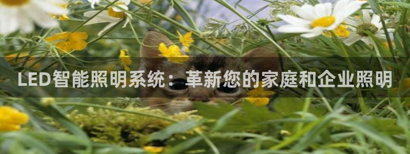 4008浏览器云顶下载