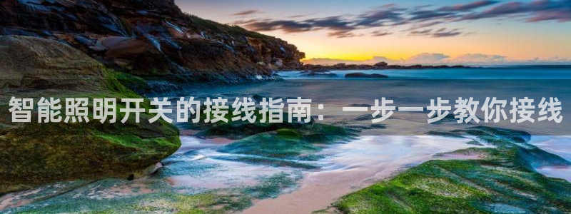 云顶集团董事长林东简历照片