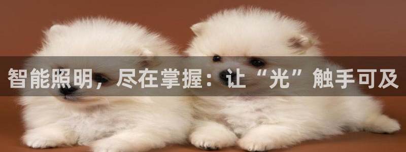 云顶国际公馆房价