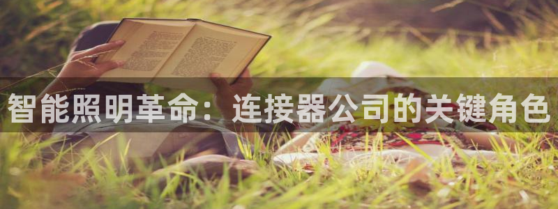 云顶国际服手游