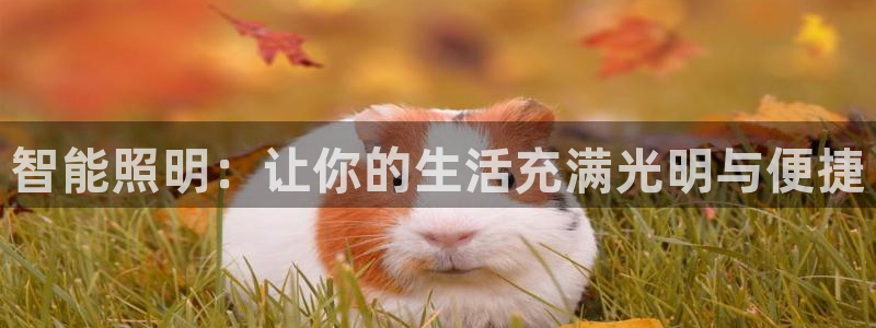 云顶国际下载地址