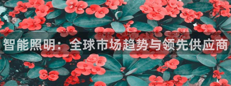 云顶国际平台网址多少