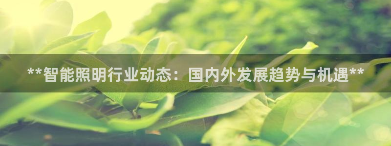 云顶国际酒店几星