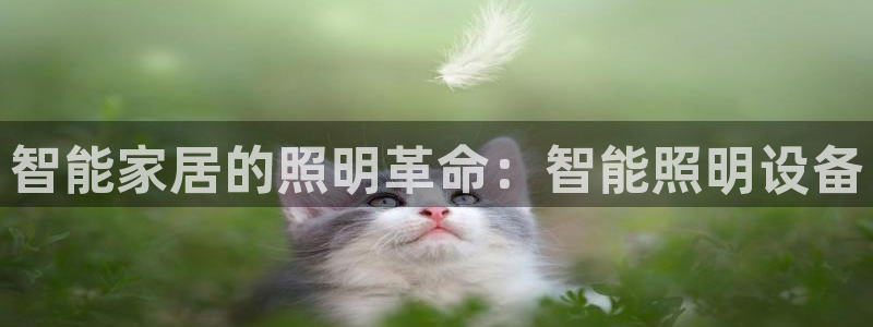 云顶国际公馆产权年限