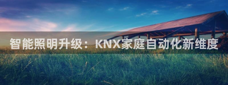 云顶国际nba智库