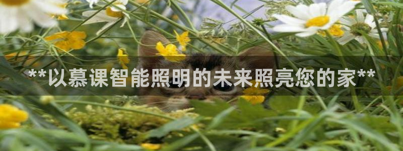 云顶手游国际服账号