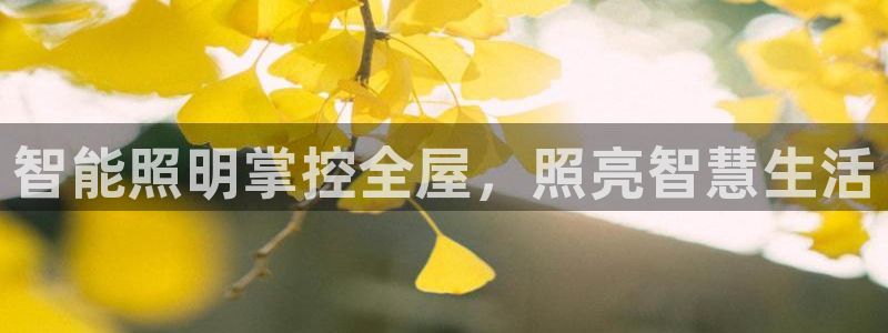 云顶28官网下载