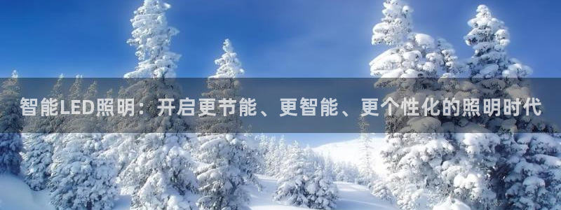 12311云顶线路检测