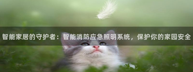 云顶集团有限公司简介地址