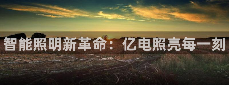 云顶国际晟荣协会高峰