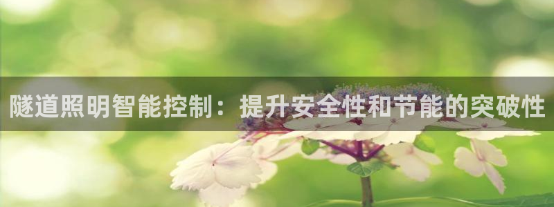 云顶国际软装公司怎么样啊