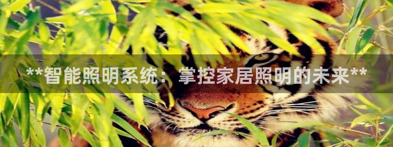 云顶国际平台游戏官网