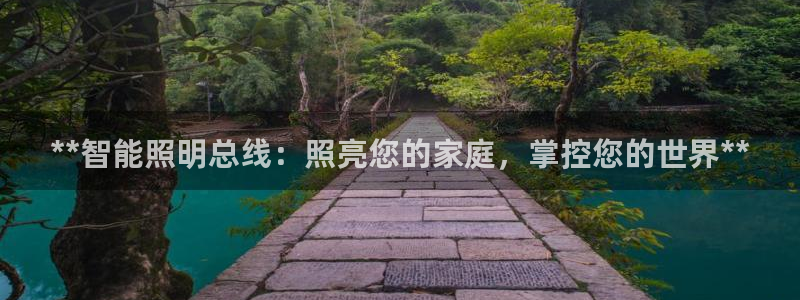 云顶国际服账号