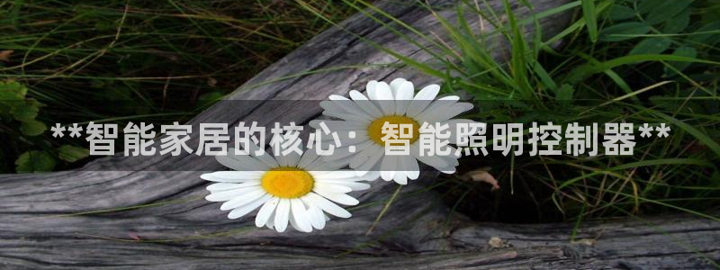 云顶国际商业广场可以充电动车吗
