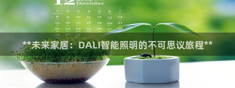 云顶国际旅行社电话