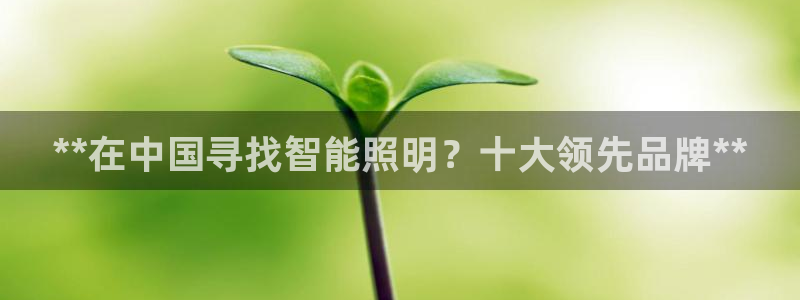 云顶国际部