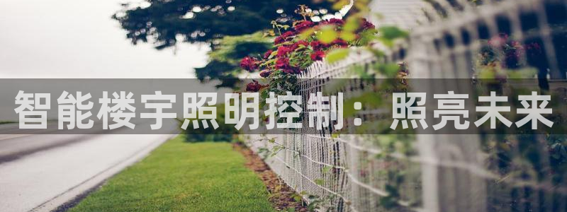 云顶国际高中