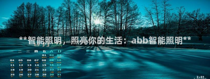9559云顶国际