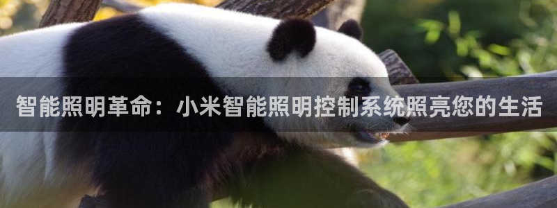 云顶国际app下载安卓